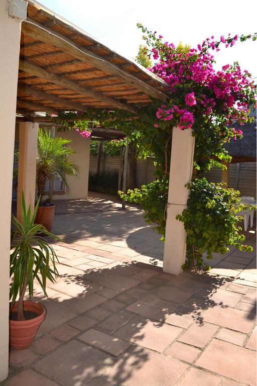 Dove'S Nest Guest House Kempton Park Buitenkant foto